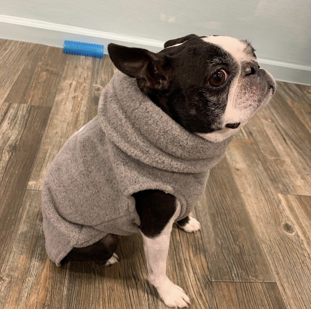 Polartec Fleece dog sweater pug french bulldog custom fit purple